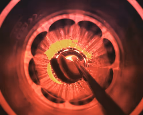 Untitled Collection #1079671754