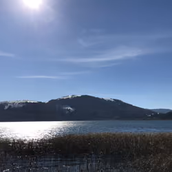 UpLand #7: Lake