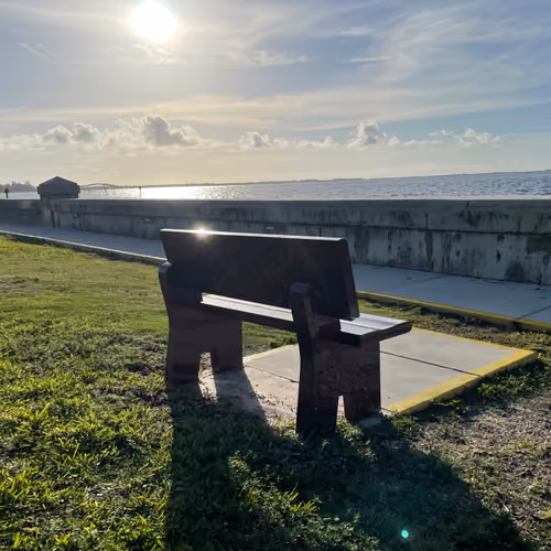 The Lonely Bench