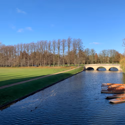 A bridge over cam