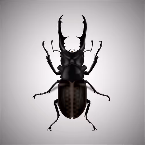 Item #15006194083360452165747859706250248338064014496976576965207408559368364359681 Media