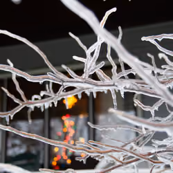 Holiday Ice