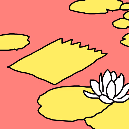 50757670010930022503106803943971214200901707688939653406662438833341784391681