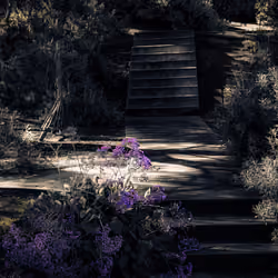 #28: Stairway to Heaven