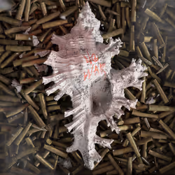 52731811376675267288984597278848787403822616983908711459941415302510246100993