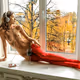 2021 Autumn, Ukraine, Kiev, Red, Wine... Peace