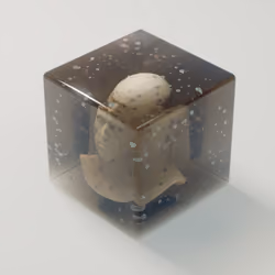 Box With Head