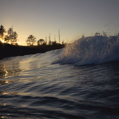 Of The Water