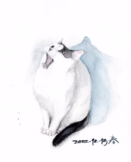 Item #106946685177321422894597018356236354695280459697270820236302694145384482078721 Media