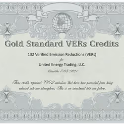 Gold Standard Carbon Offset Credits NFT