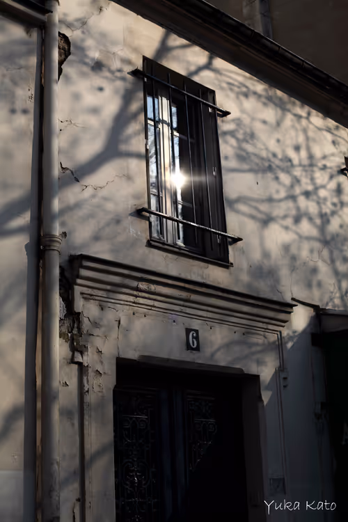 Item #111326101478107214990251795731047965840392207690526379209547236986185203056641 Media