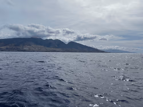 Item #103478439524768864442959373510033945590872230740400056418808036724922954809345 Media