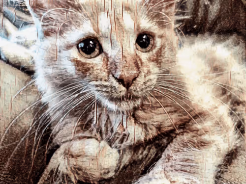 Item #70677597916389332091875359855925065117436584504780574341127713064276860076033 Media