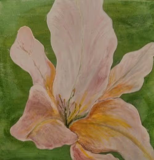 Item #54084906091757968822903951019299414361125981671611611417370072966768617324545 Media