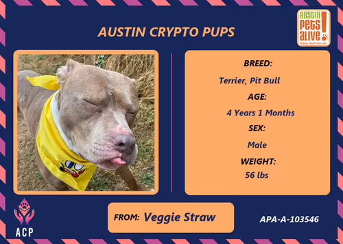 Item #17951378556605612276483806045649535824451571419947225201384628568926105632769 Media