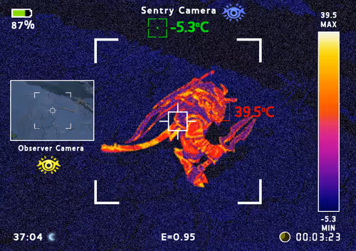 Item #79477557373698863908200888252849086402902385738022074458942677035601132257281 Media