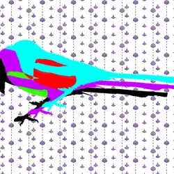 Three Little Birds