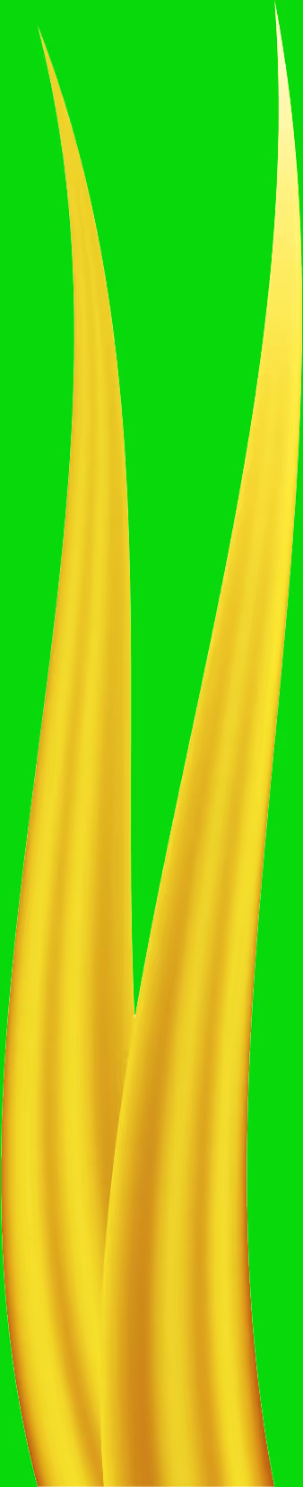 Item #78763235517899702300642317908544281341520076745003203023483946007102356455425 Media