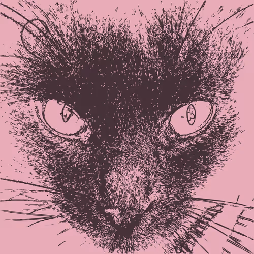 Minimalism Cat #3198 - Marianna the Demanding