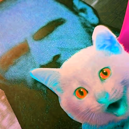 4747115153065902387790593868107453782499677024781155622119189990601427779585