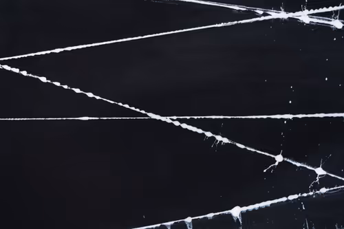 Item #23953230745994406582939997092897091351371610828269103110916008579905146060801 Media