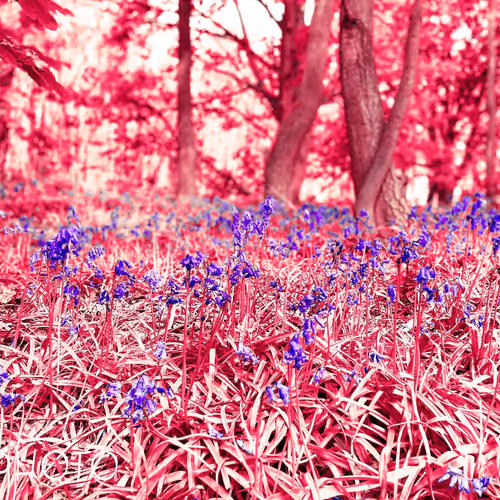 Gertrudamarina Collection