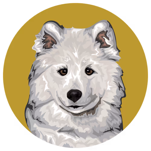 54766349128176429303044182404049584425310907481653304317570413850667983568897