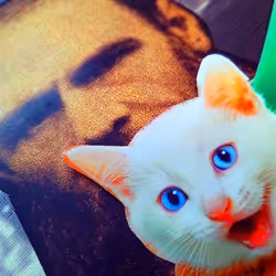 4747115153065902387790593868107453782499677024781155622119190146732078923777