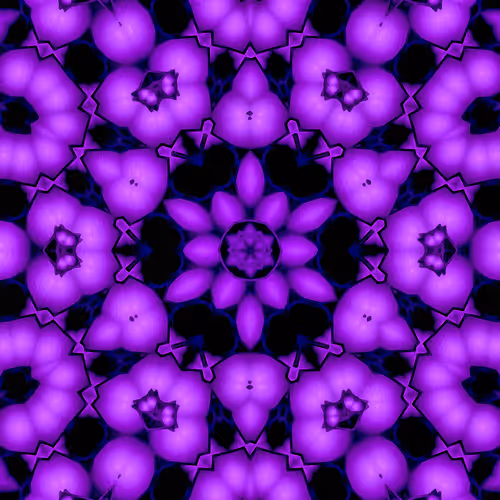 Item #82793807533074803550559074412293794782293997573157595909210743847990738288641 Media