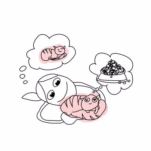 96280539433794011389606009945549423943958703406408210415126716820525756186625