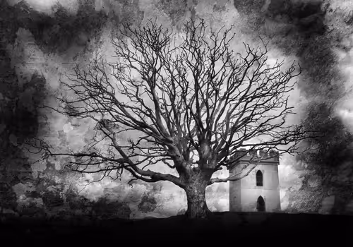 Item #40160686583094733528677484039903516258611509642019211679321071391299491332097 Media