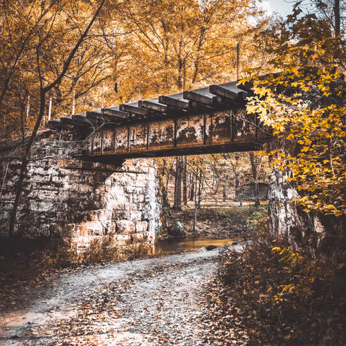 GARAGE SALE COLLECTION