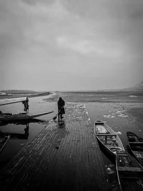 Item #32582134333190715797390498709078136794340153351974594145001505088941028540417 Media