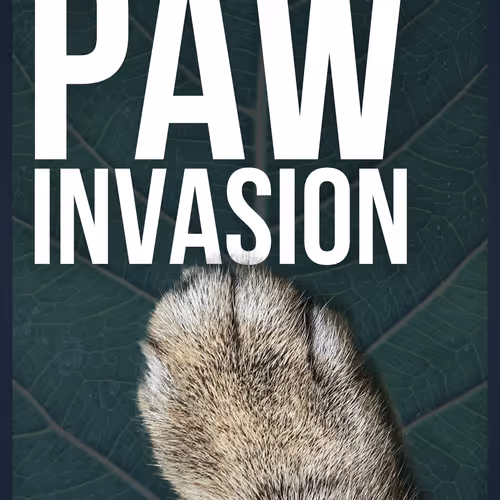 Ithinkyoushouldpaws