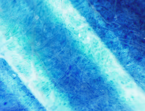 Item #71646257518770613568983710813551014237803002136866425209291834367142680068097 Media