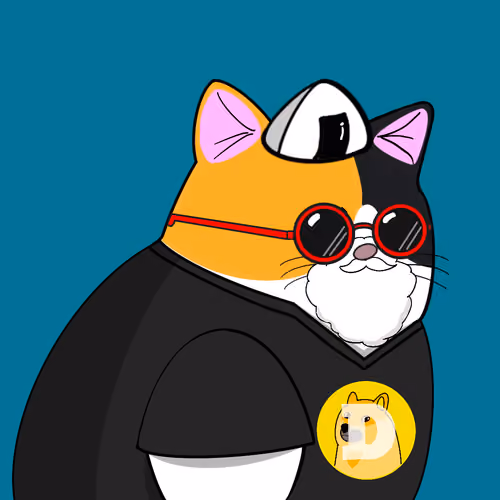 Chunk Cat #0045