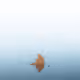 100125324817140700473098673733568876555088890877521994710768706068304724230145