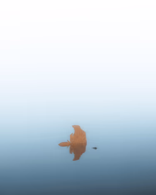 Item #100125324817140700473098673733568876555088890877521994710768706068304724230145 Media