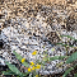 2850415134272365380187775685678842410458265265709128331682257497479677214721