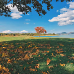 Autumn