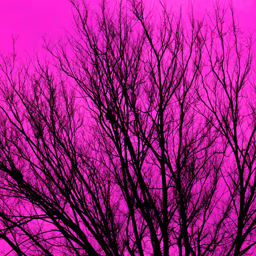 Item #35965218379738729691291467168286792303482134167127854404987491632864877871105 Media