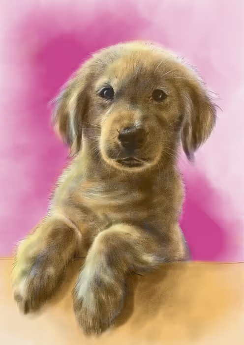 Item #615985665030014359151933937920093135833066652334280591351370851814884769793 Media