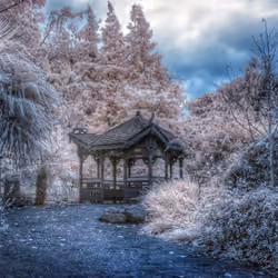Infrared #13