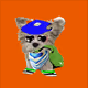 21607923784025543658024067331009769919395041958272689574271022463565086851073