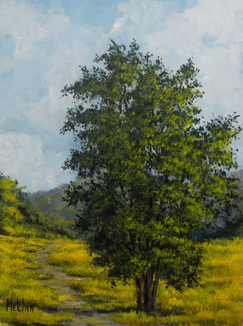 Item #110029838572198662821673087368431480016956825603177729317162674685352007958529 Media