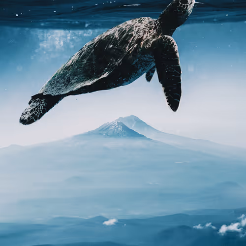 Photomanipulatiions