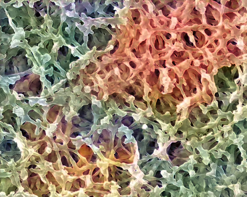 Item #22177301469207423034343584871570086378673375420367340164683847223171616866305 Media