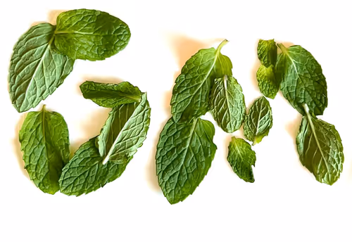 Item #34197596359302562827026793622313258581589152929376292564291936824621491295112 Media