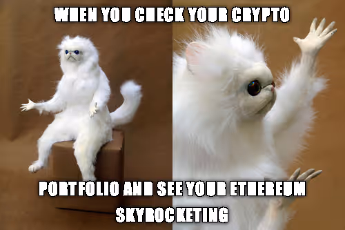 BooberSmack Collection