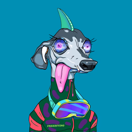 Dog Meta